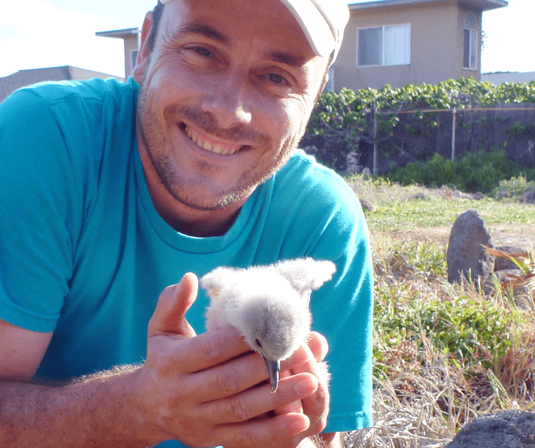Freeman Seabird Preserve Wedge tailed Shearwaters ‘Uau Kani min
