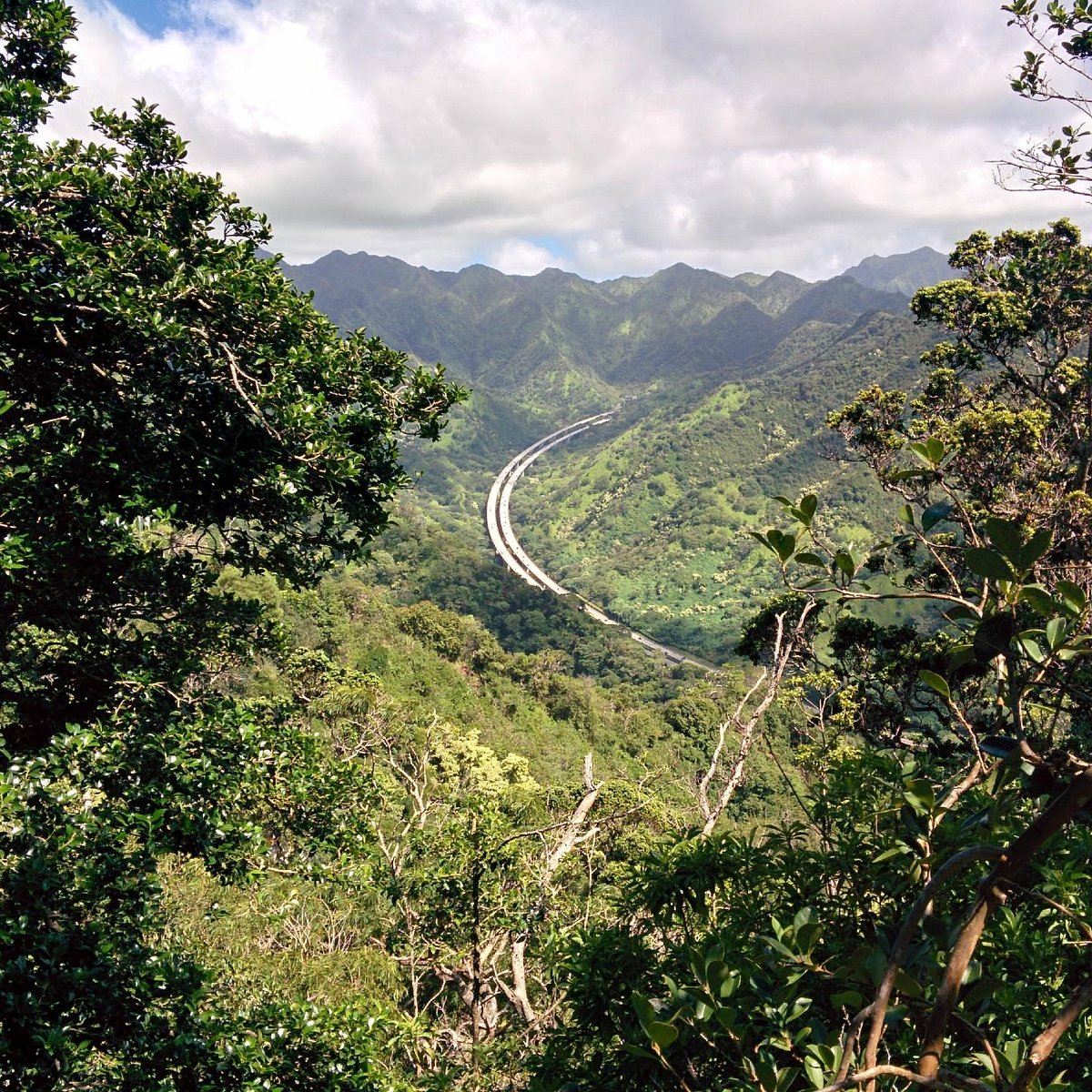 Aiea Loop Trail