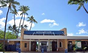 Waikiki Aquarium