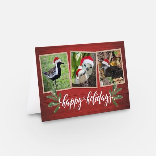 Christmas cards (5 for $20)